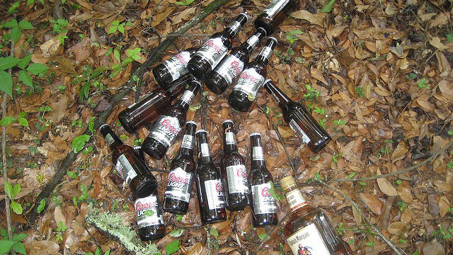 בקבוקי אלכוהול זרוקים על דשא